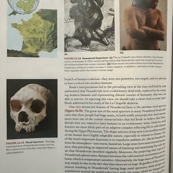 Essentials of Biological Anthropology 4th Ed. Clark Spencer Larsen - Picture 11 of 13